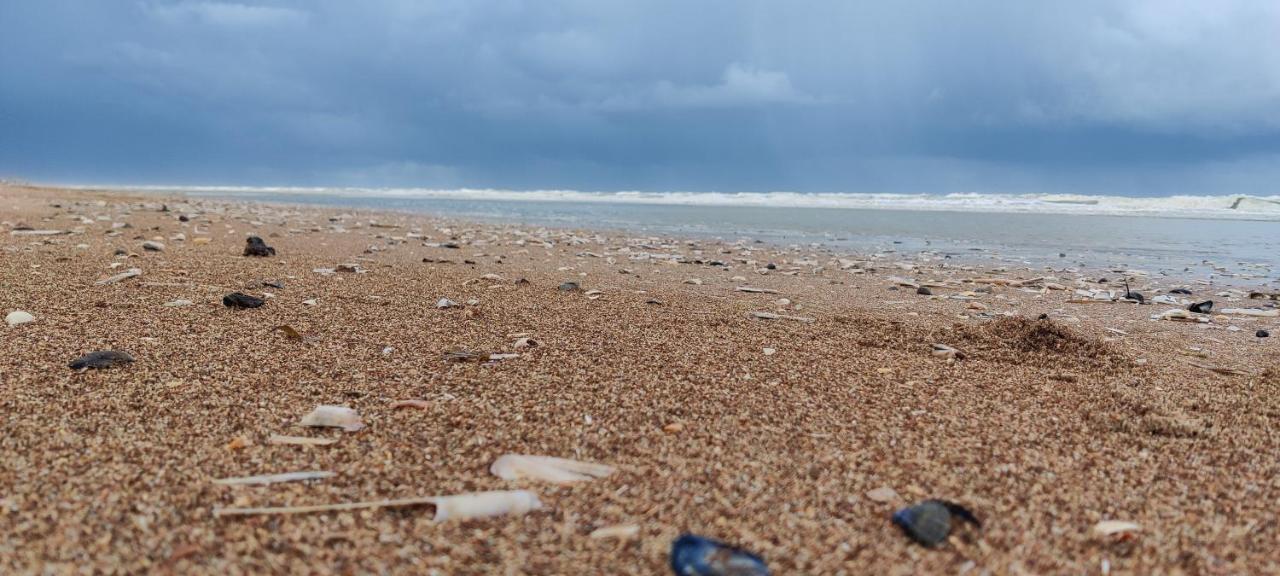 Le Zandkreek Plage & Centre - 2 Ch Коксейде Экстерьер фото