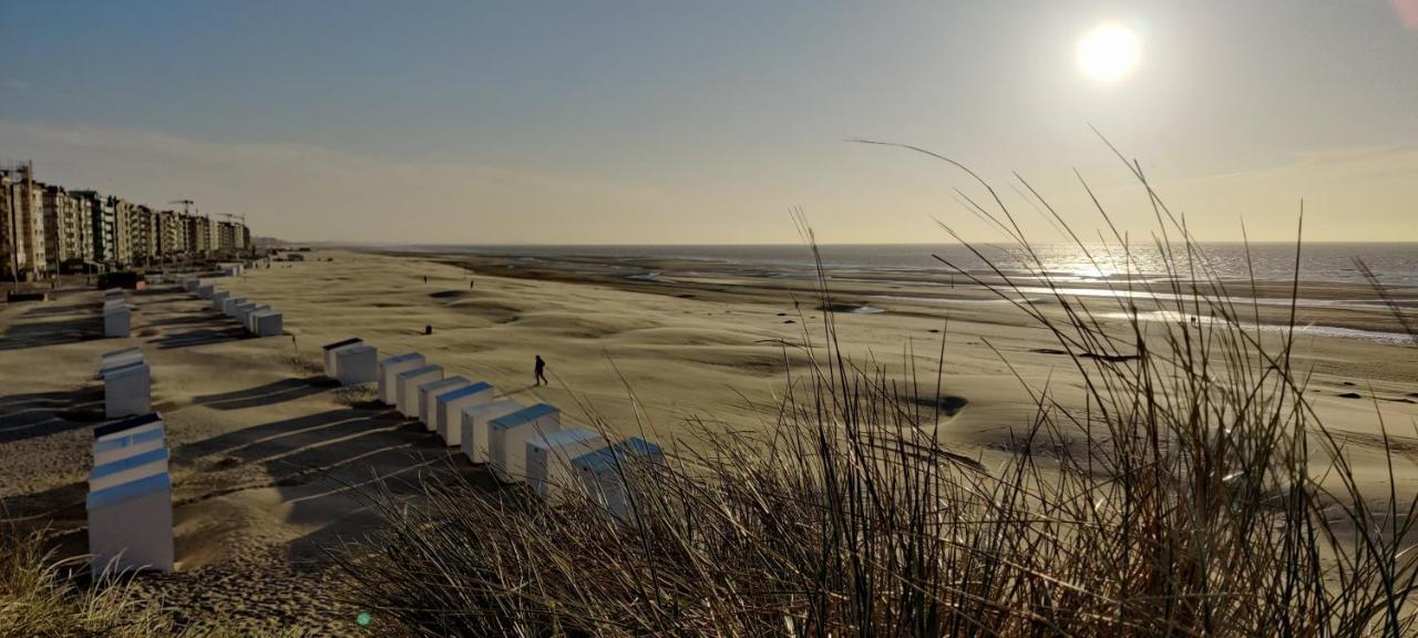 Le Zandkreek Plage & Centre - 2 Ch Коксейде Экстерьер фото