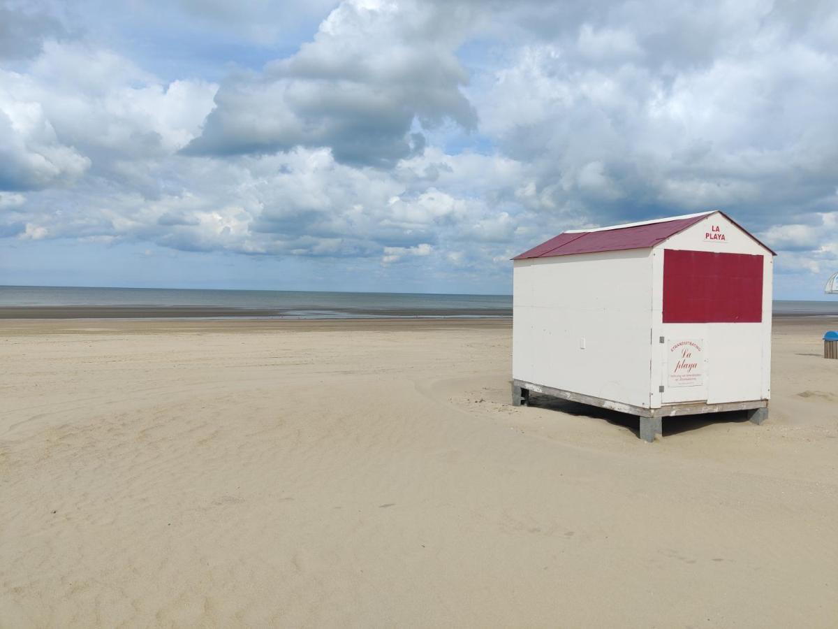 Le Zandkreek Plage & Centre - 2 Ch Коксейде Экстерьер фото